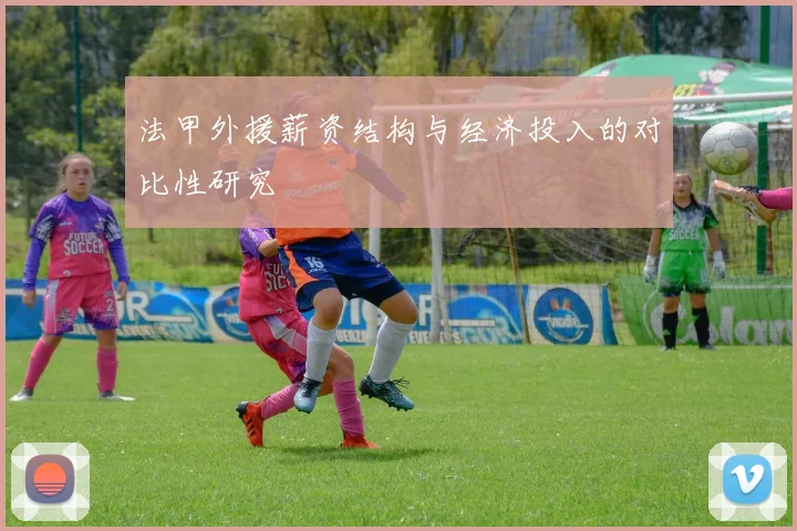 法甲外援薪资结构与经济投入的对比性研究
