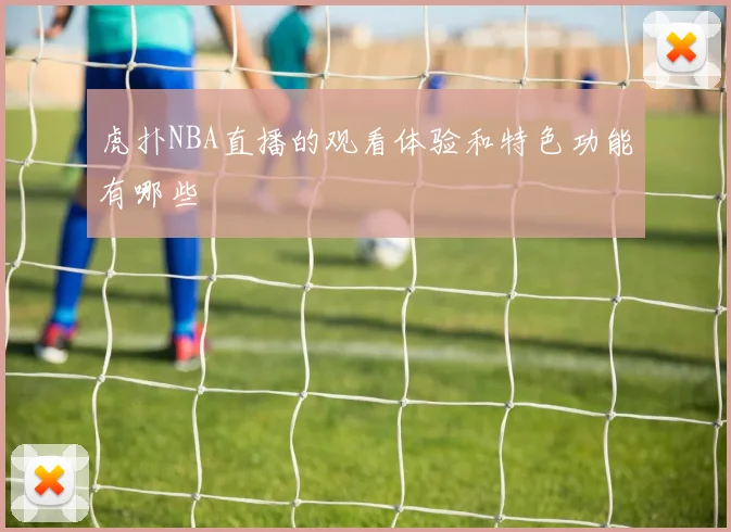 虎扑NBA直播的观看体验和特色功能有哪些