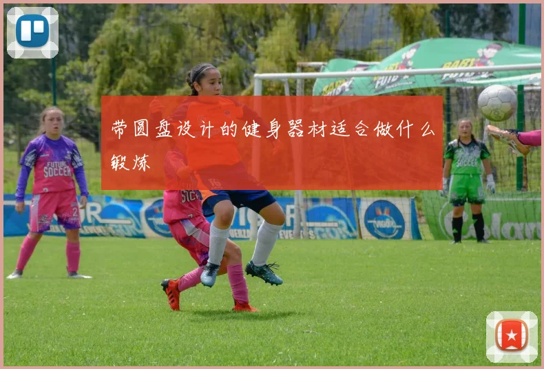 带圆盘设计的健身器材适合做什么锻炼