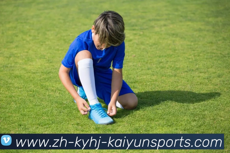 ky开云平台生态图